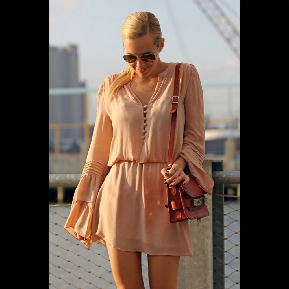 NEW PARKER DRESS